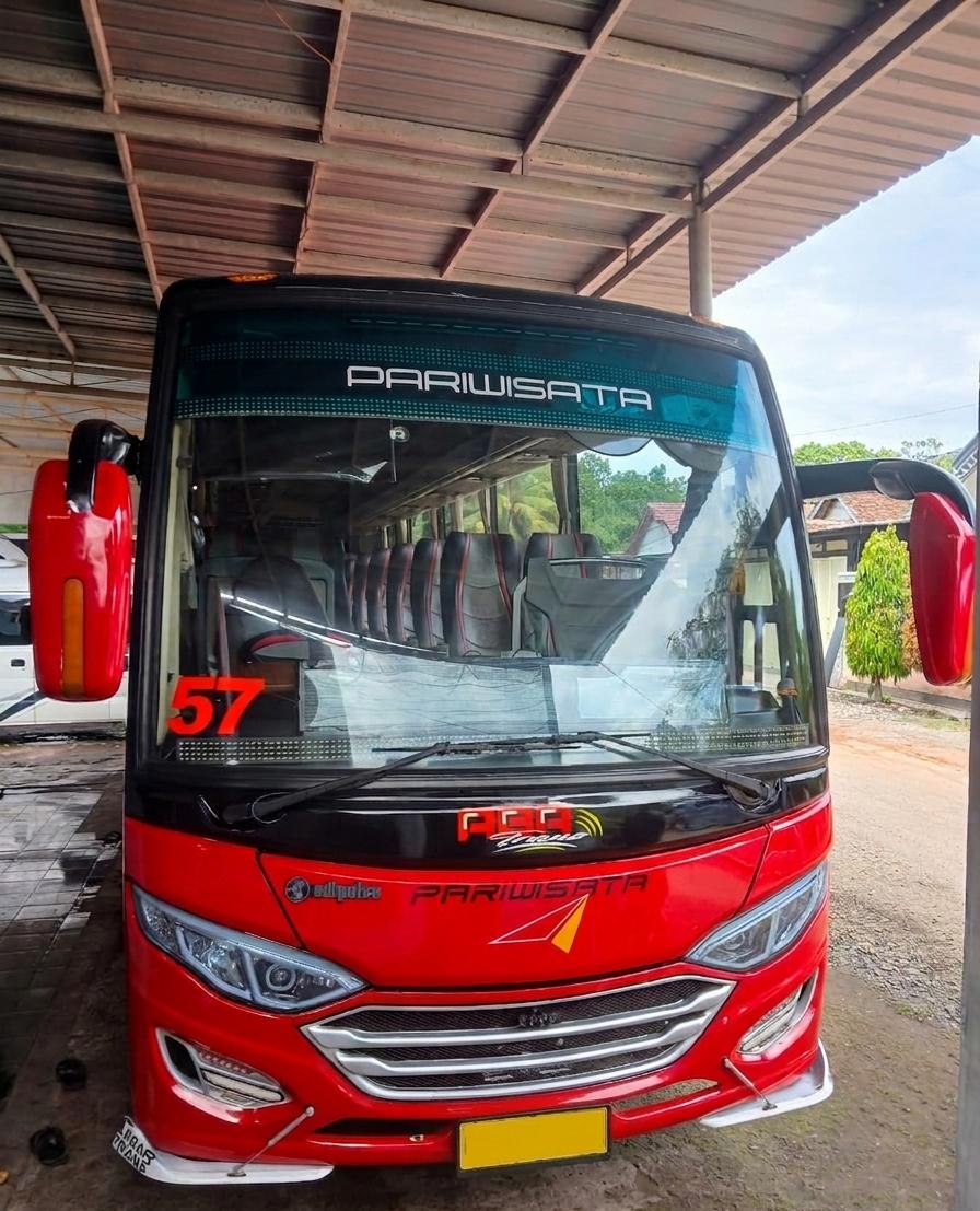 Medium Bus