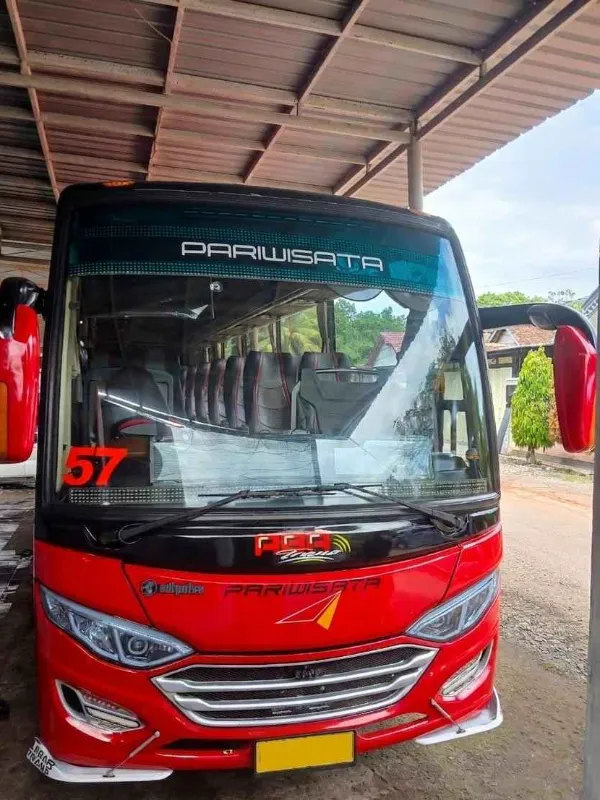 Armada Medium Bus Surya Abadi Transindo