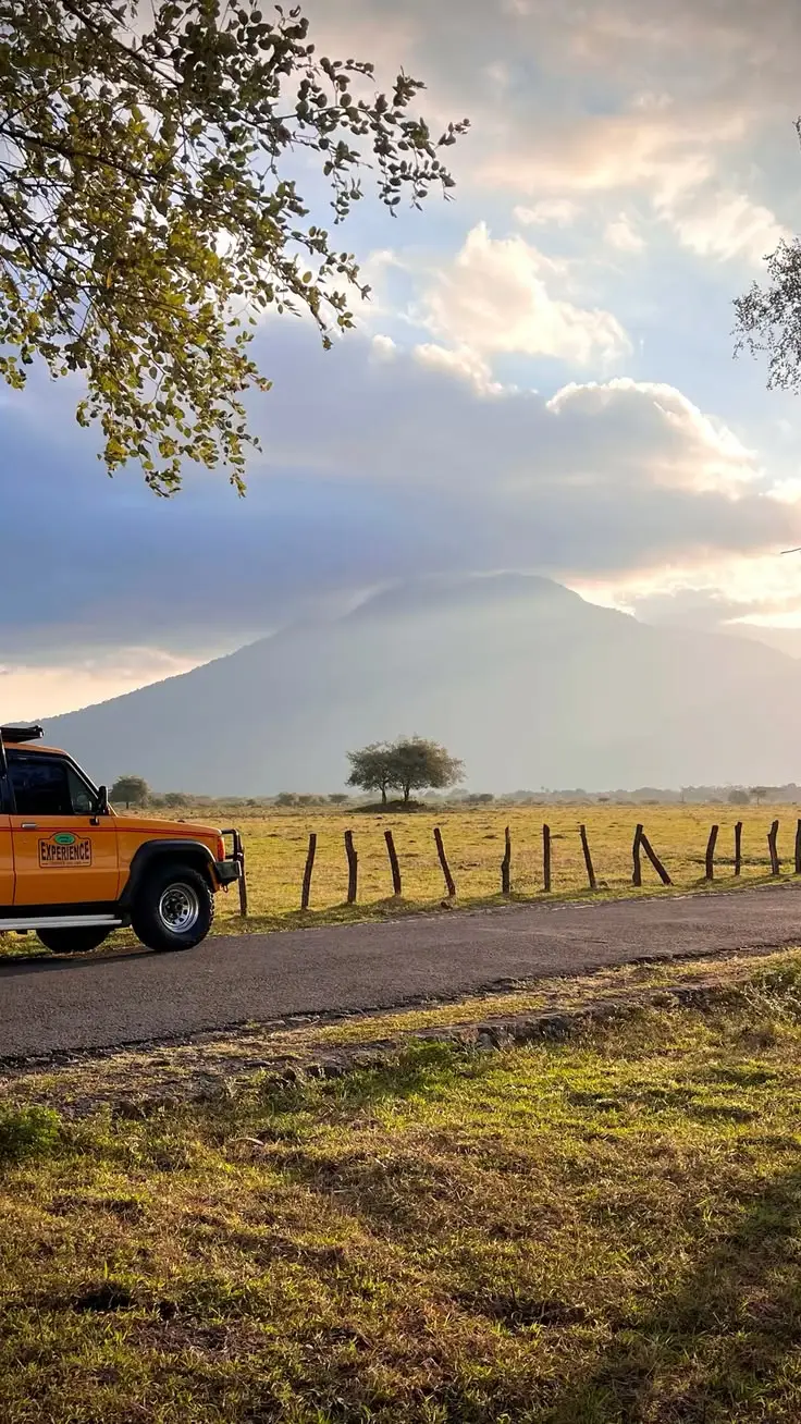 Savana dan gunung dengan jeep kuning di jalan Taman Nasional Baluran