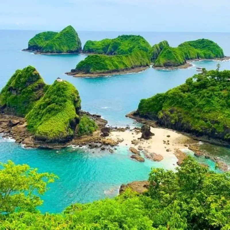 Jungle Island