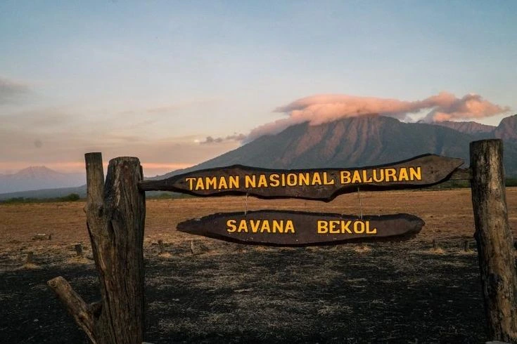 Kawah Ijen & Baluran